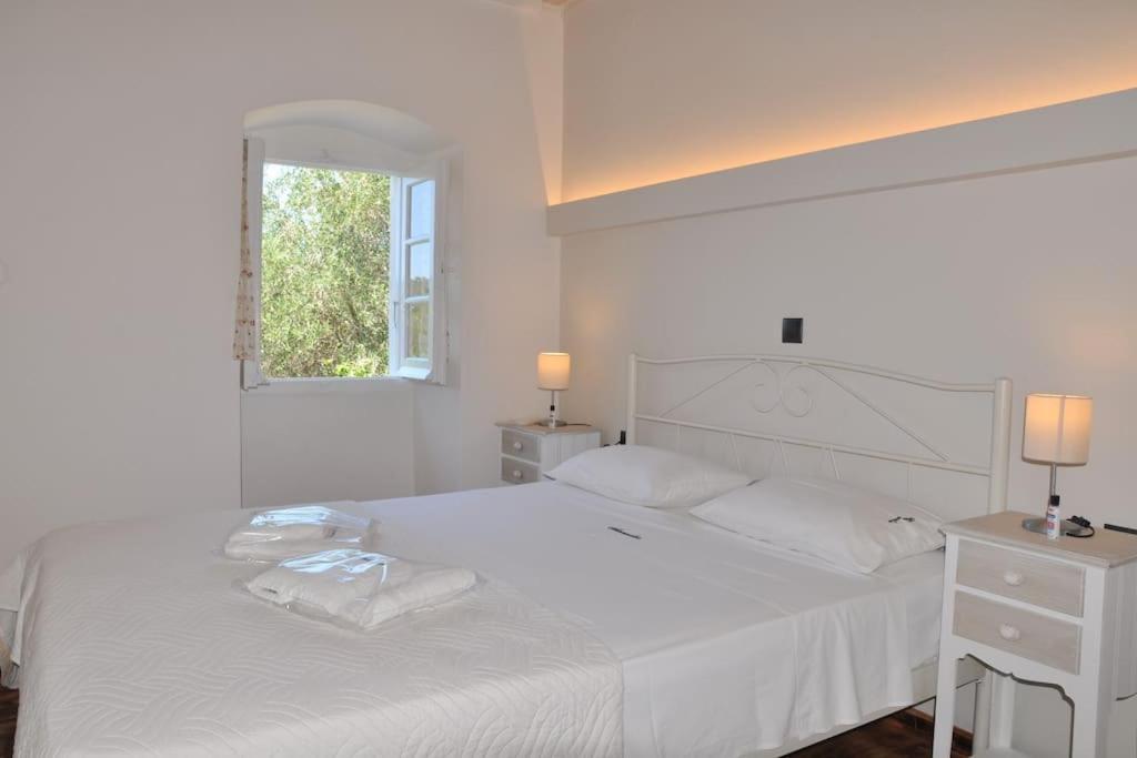 Villa Paxos Adamantia With Private Pool ガイオス エクステリア 写真